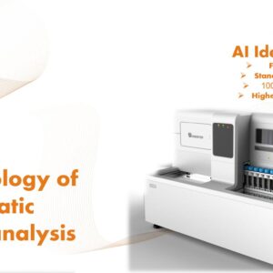 Technology of automatic faces analysis